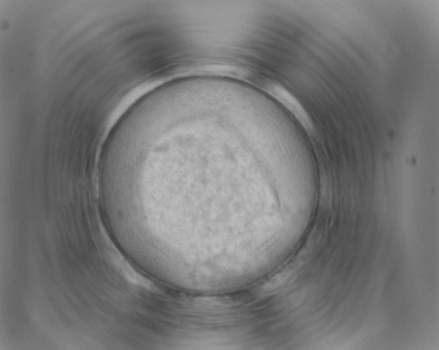 X0000088381436200706191257