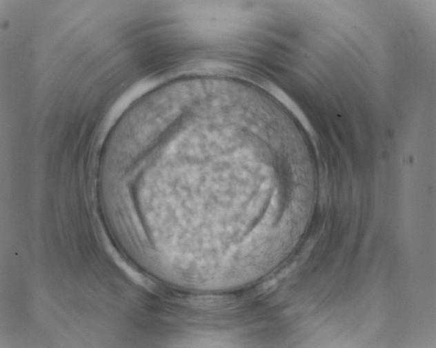 X0000088381437200706191257