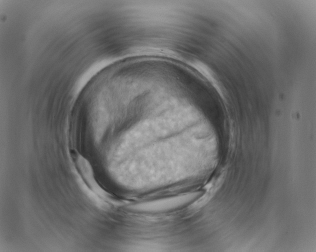 X0000088381438200706191257