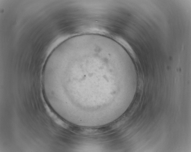 X0000088381439200706191257