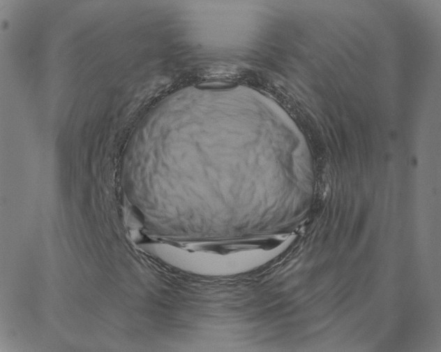 X0000088381441200706191256