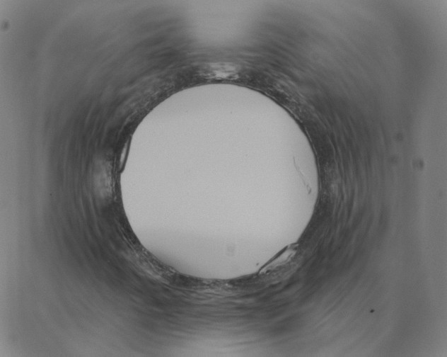 X0000088381442200706191256