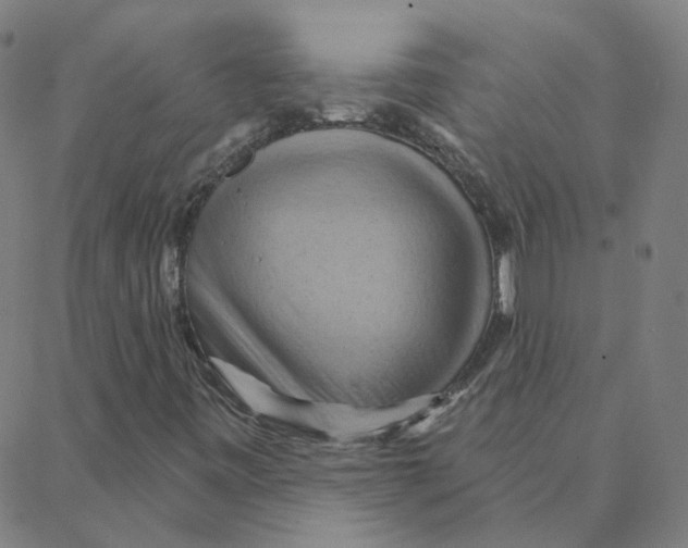 X0000088381443200706191256