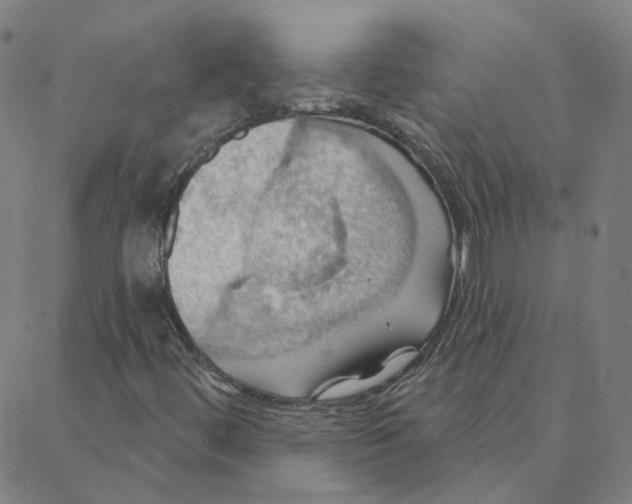 X0000088381444200706191256