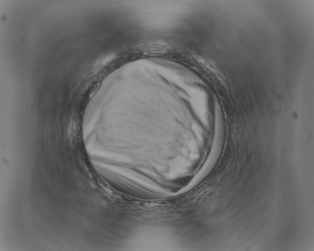 X0000088381445200706191256