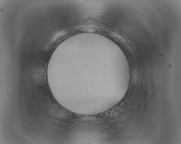 X0000088381446200706191256