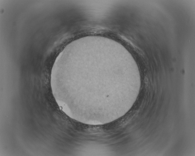 X0000088381447200706191256