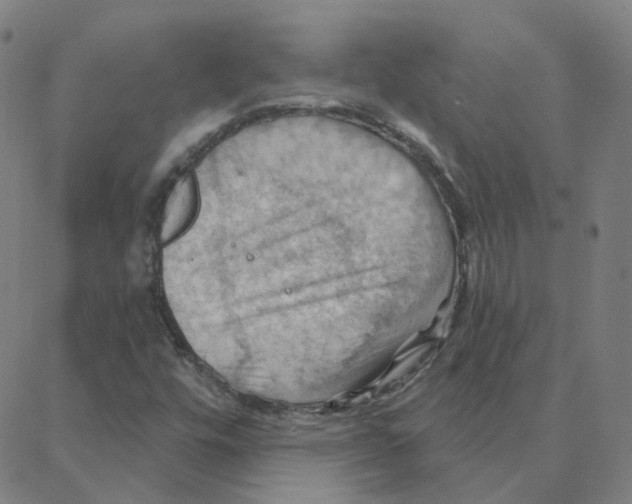 X0000088381448200706191256