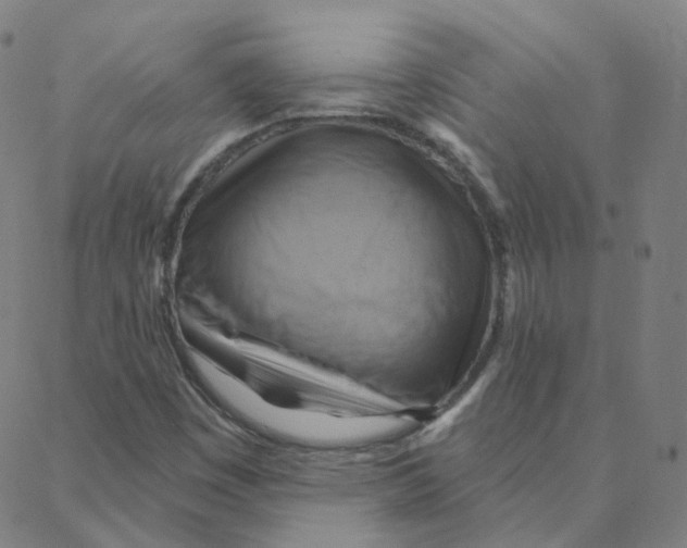 X0000088381449200706191256