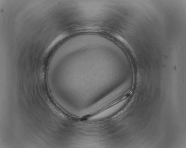 X0000088381450200706191256