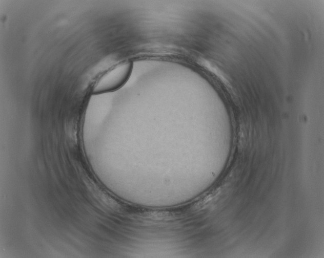 X0000088381451200706191256