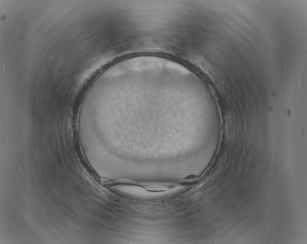 X0000088381452200706191256