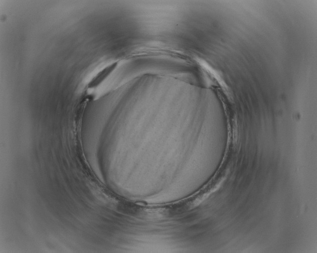 X0000088381453200706191256