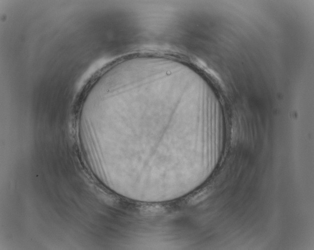 X0000088381454200706191256