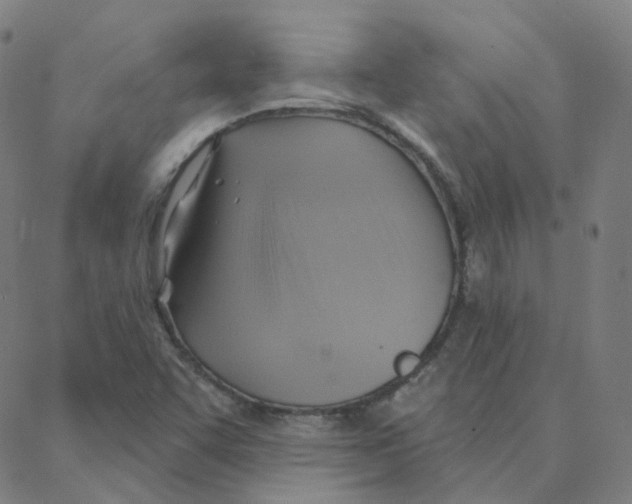 X0000088381455200706191256