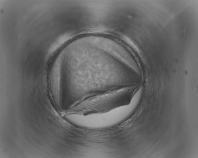 X0000088381456200706191256