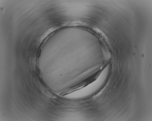 X0000088381457200706191256