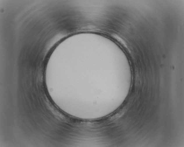 X0000088381458200706191256