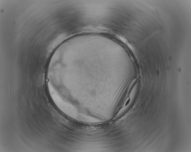 X0000088381459200706191256