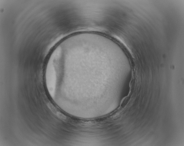 X0000088381460200706191256