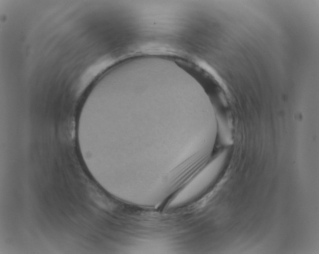 X0000088381461200706191256