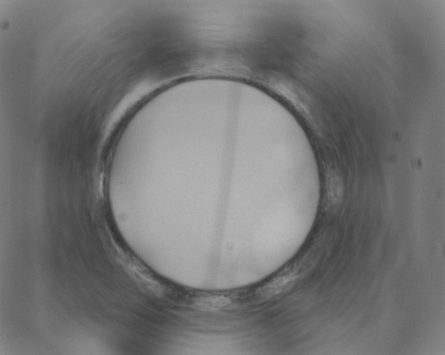 X0000088381462200706191256