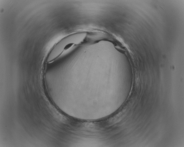 X0000088381463200706191256