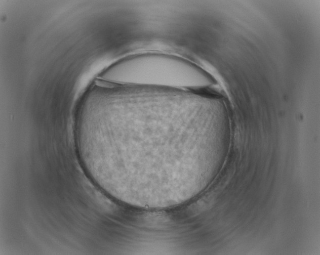 X0000088381464200706191256