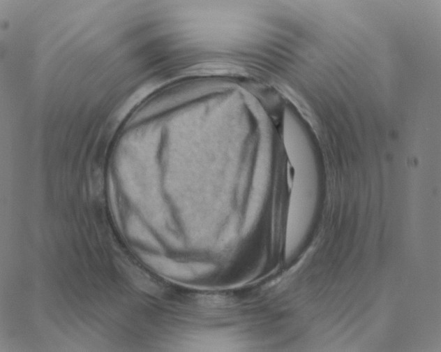 X0000088381465200706191256