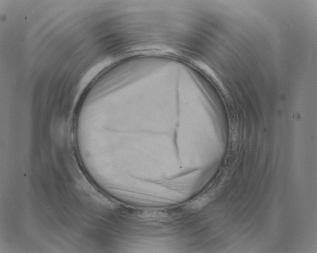 X0000088381466200706191256