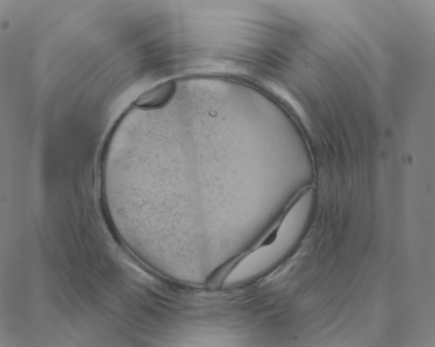 X0000088381467200706191256