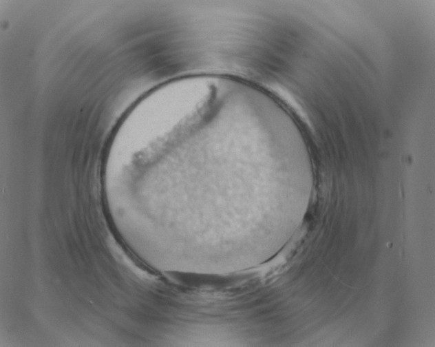 X0000088381468200706191256