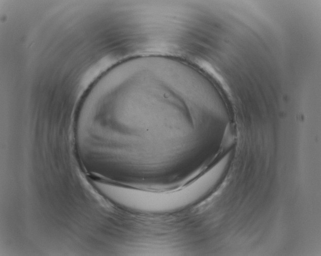 X0000088381469200706191256