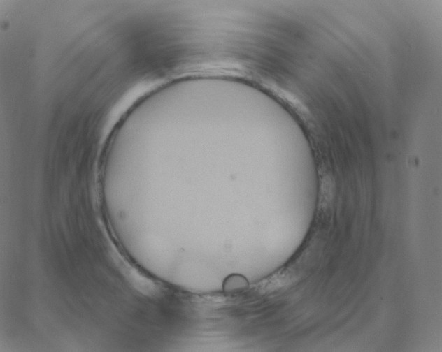 X0000088381470200706191256