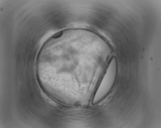 X0000088381471200706191256