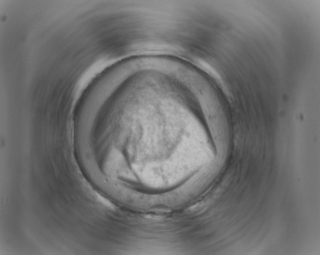 X0000088381472200706191256