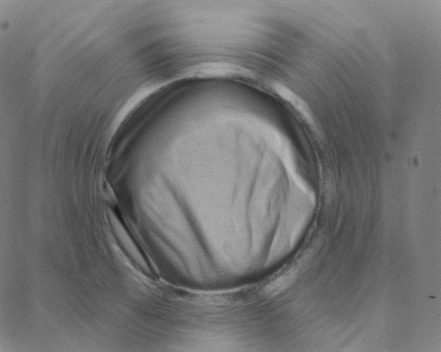 X0000088381473200706191256