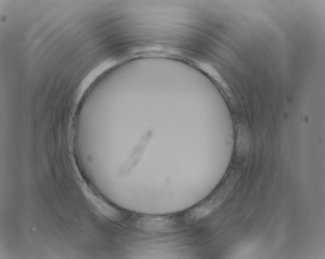 X0000088381474200706191256