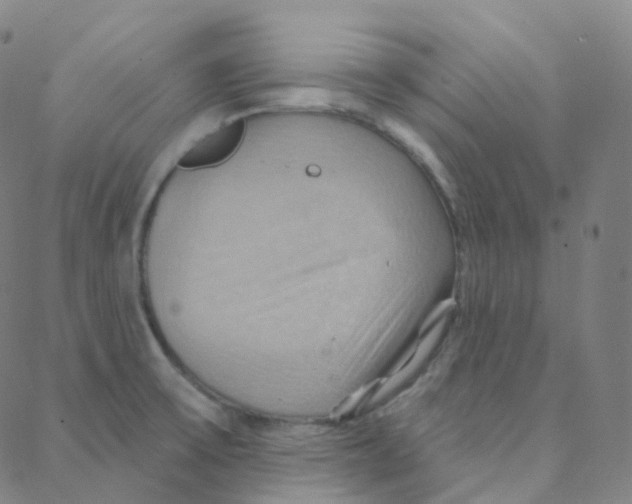 X0000088381475200706191256