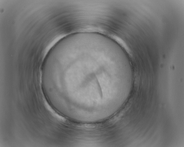 X0000088381476200706191255