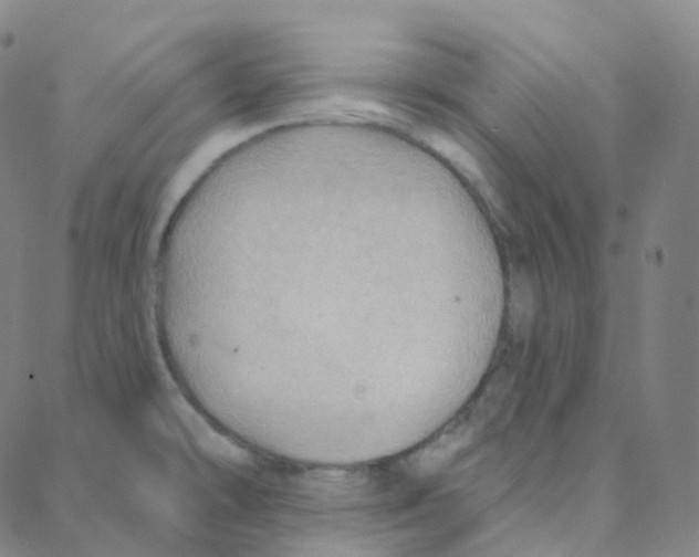 X0000088381478200706191255