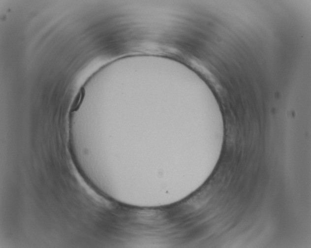 X0000088381479200706191255