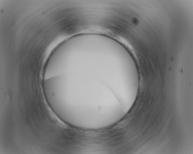 X0000088381480200706191255