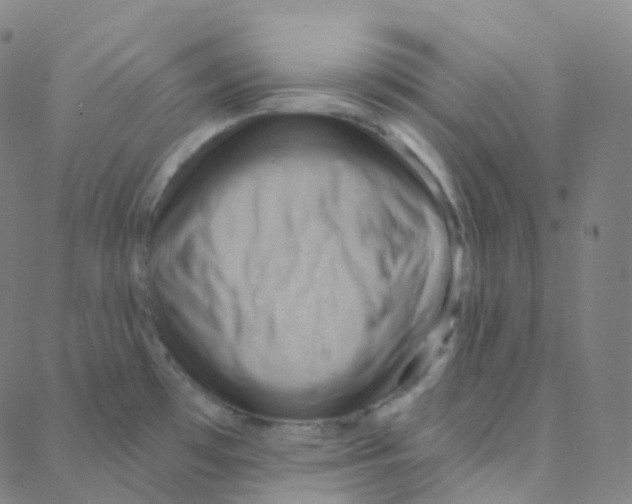 X0000088381481200706191255