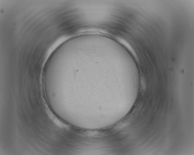 X0000088381482200706191255