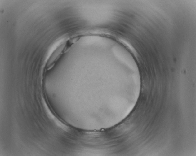 X0000088381483200706191255