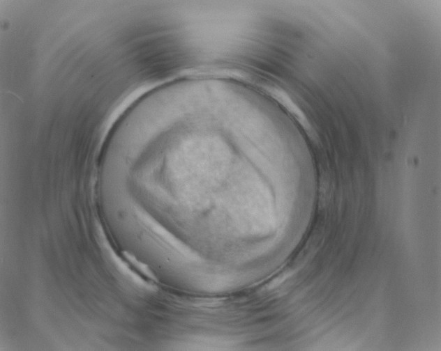 X0000088381484200706191255