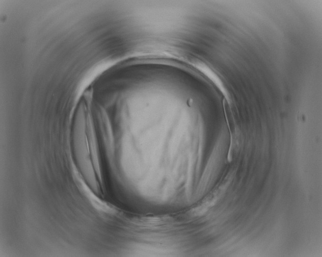 X0000088381485200706191255