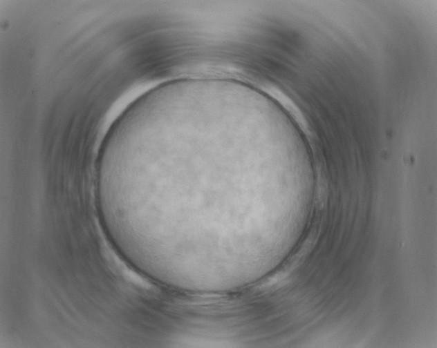 X0000088381486200706191255