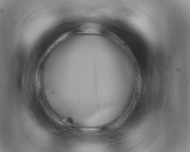 X0000088381487200706191255